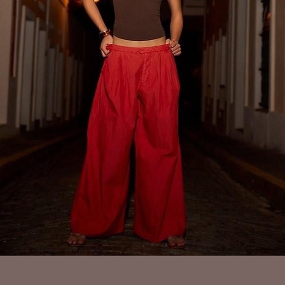 Free People Pants - Paige Pleated Pull-on Trousers at Free People in Bella Rosa - NWT XL